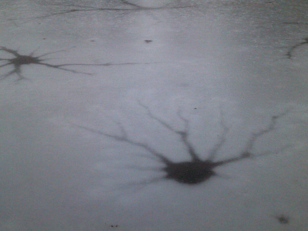 Interesting cracks in the ice.