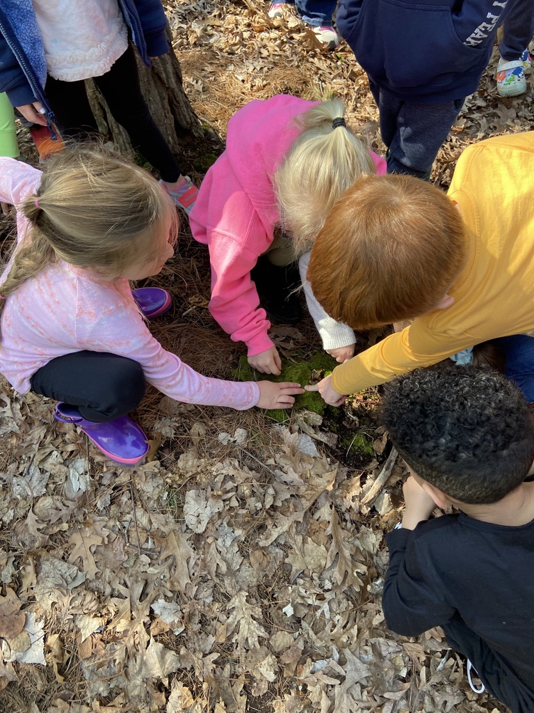 kids touching moss