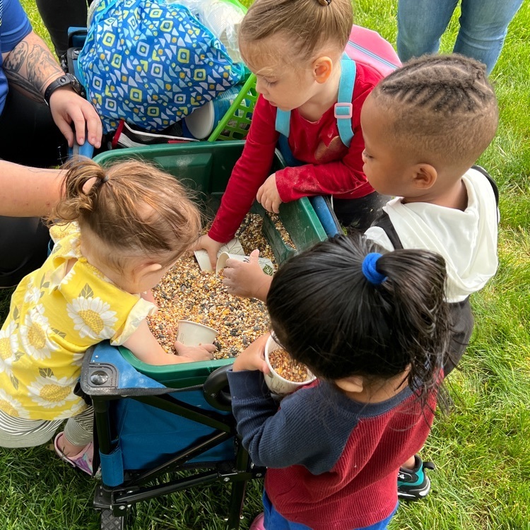 children exploring bird seed